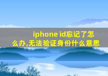 iphone id忘记了怎么办,无法验证身份什么意思